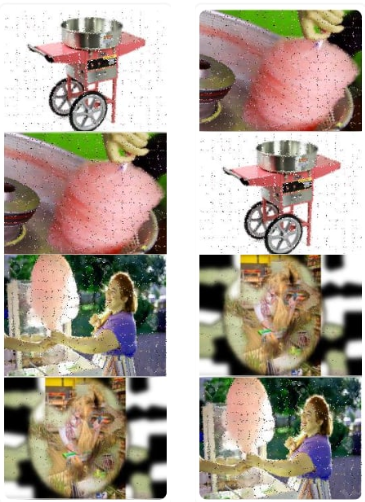 Idena flip with an adversarial nonsense image